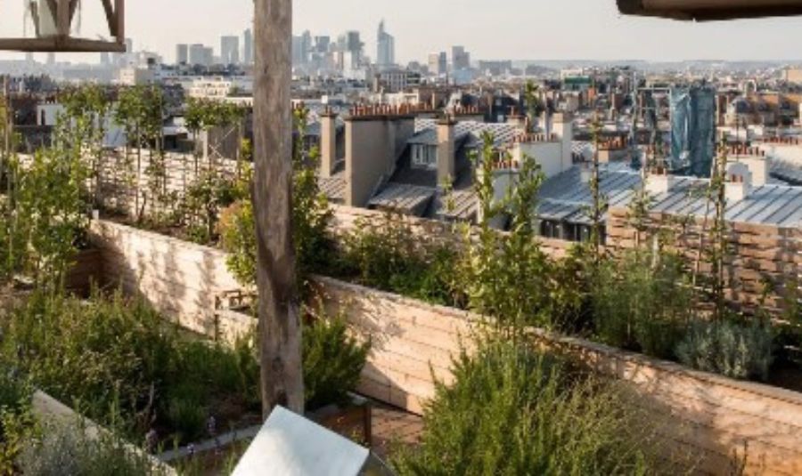 brach bar rooftop