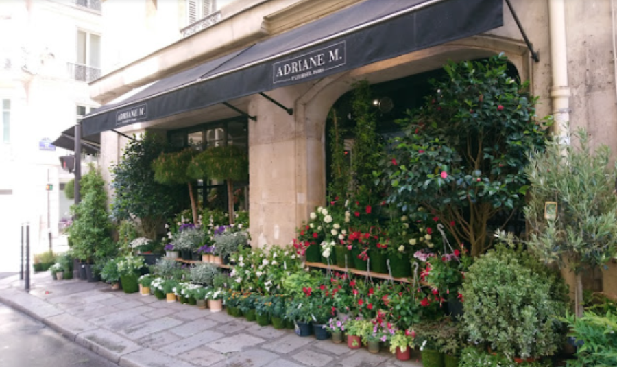 fleuriste a paris adriane m