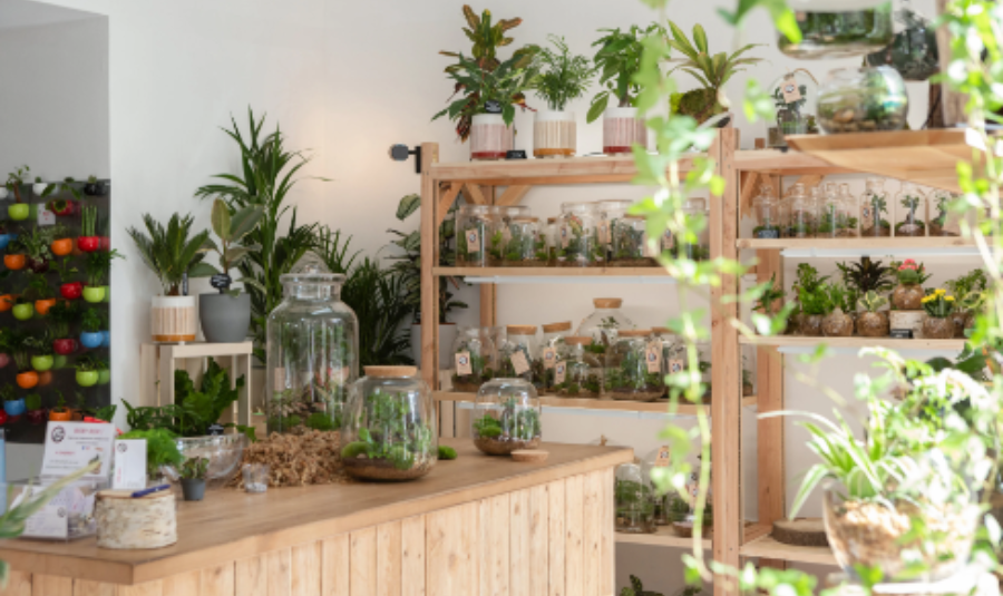 fleuriste paris bobby la plante